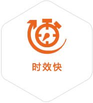 定远到比利时物流公司